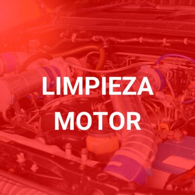 Servicio de limpieza de motor para coches en Las Palmas de Gran Canaria