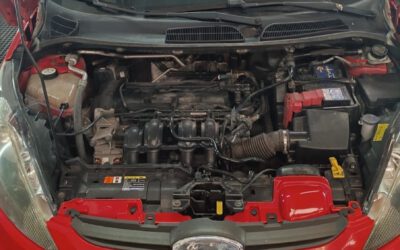 Limpieza de motor Ford Fiesta en Las Palmas de Gran Canaria