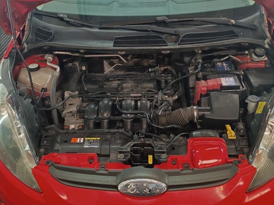 Limpieza de motor Ford Fiesta en Las Palmas de Gran Canaria
